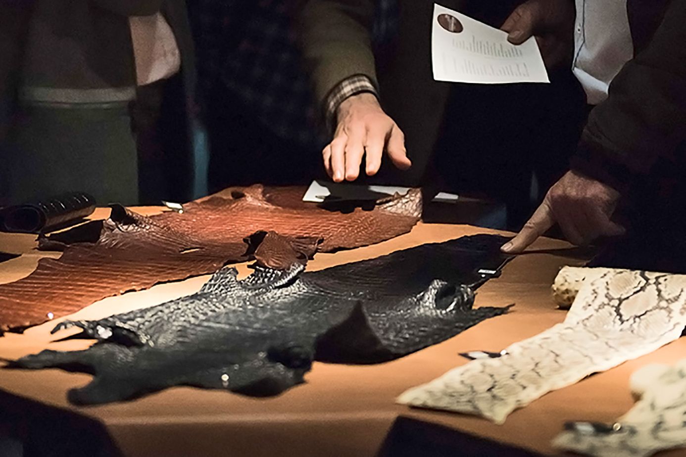 Stimmen der Vielfalt