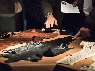 Stimmen der Vielfalt